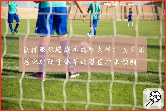 森林狼双塔战术的耐久性：戈贝尔老化对防守体系的潜在冲击预测